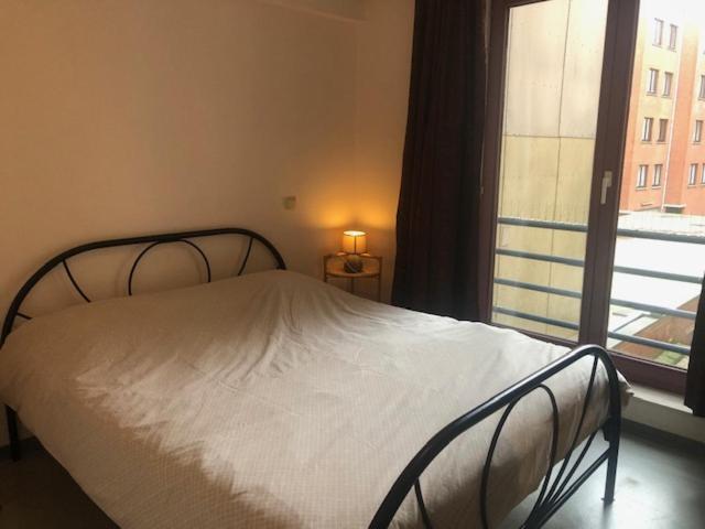 Duinroos C2 Apartment ก๊กไซเดอ ภายนอก รูปภาพ